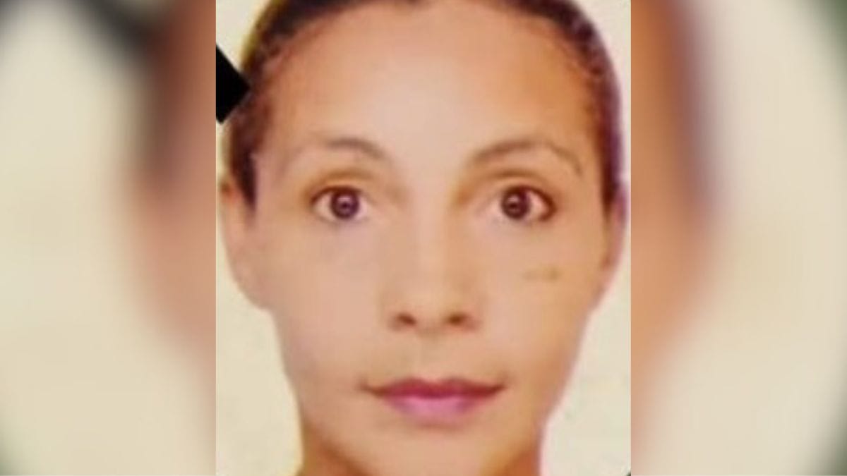 Vítima morta às margens da BR-101 em Joinville