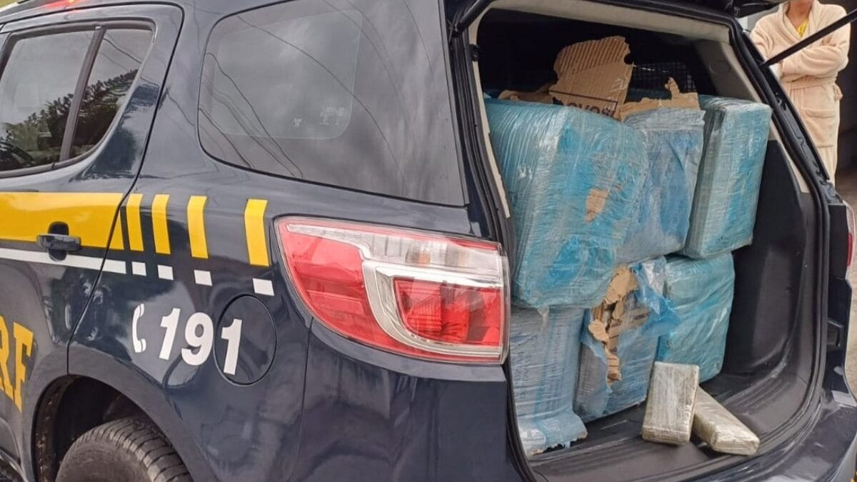 Foram encontrados 319 kg de maconha (Foto: PRF, Divulgação)