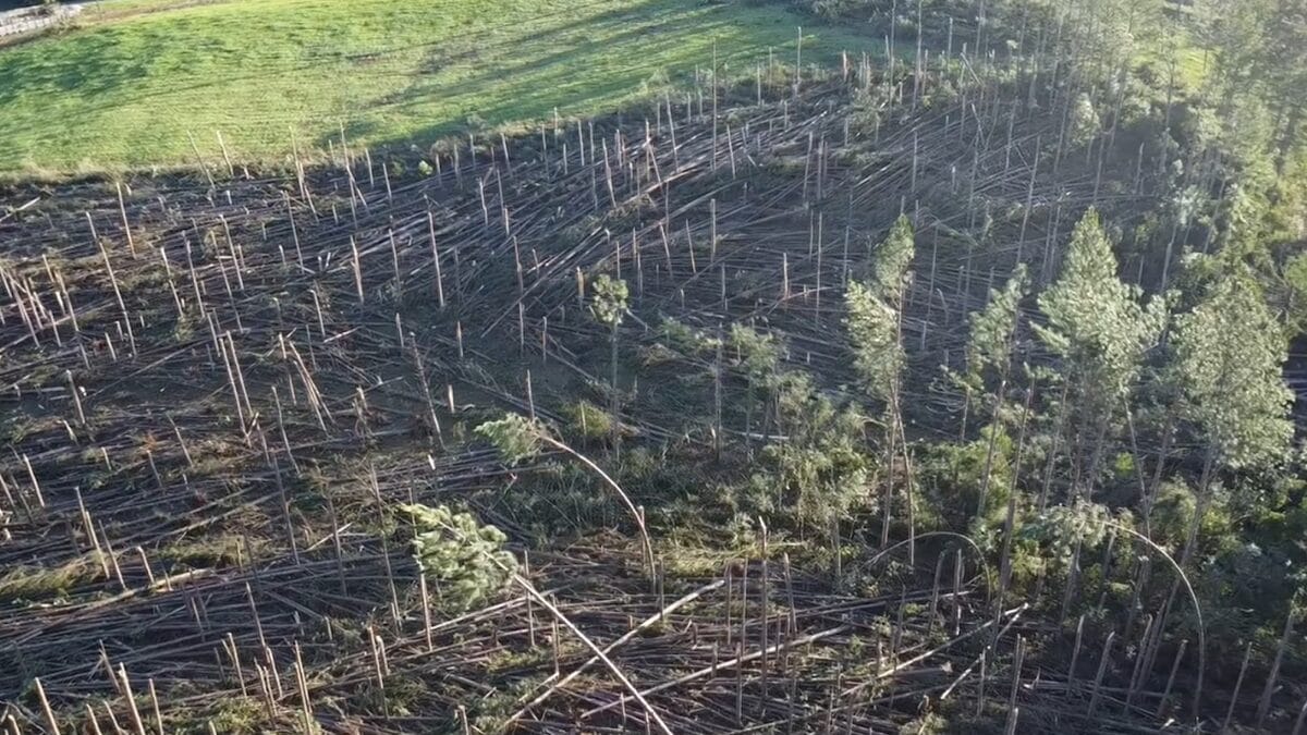 Tornado em Passos Maia