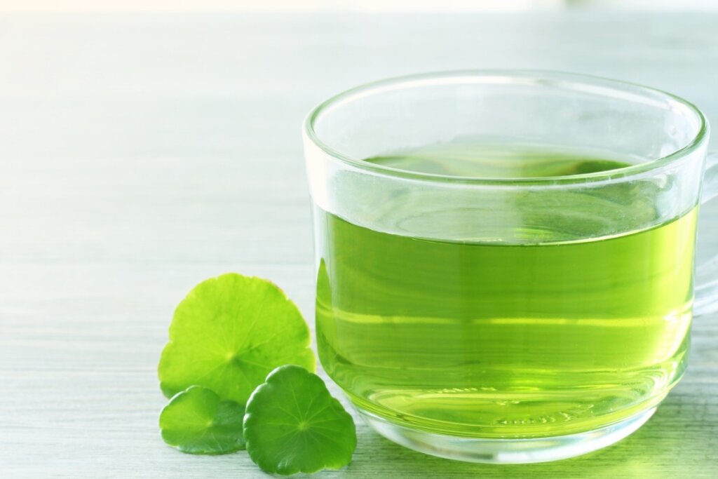 XÃcara de vidro com chá de Centella asiática verde