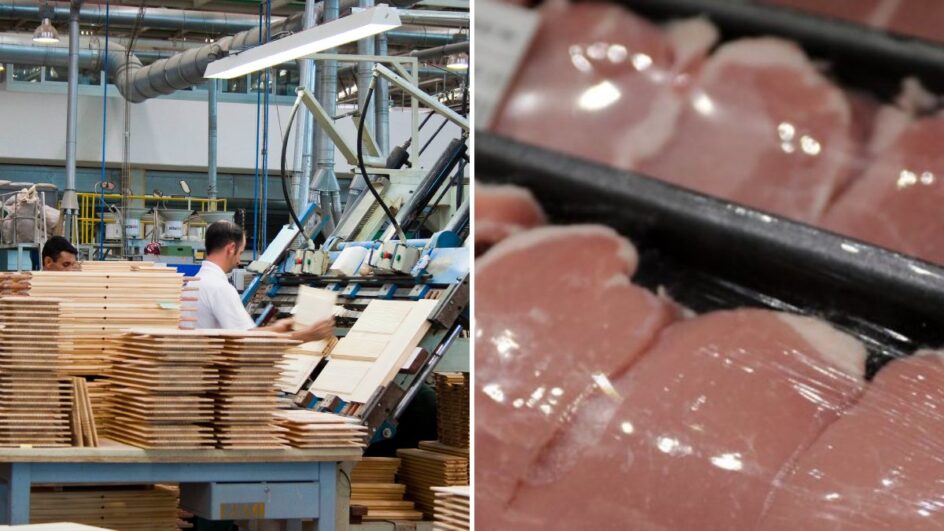 Obras de carpintaria para construções, madeira serrada, motores elétricos e carne suína compõem top 10 de exportações de SC aos EUA em 2025 (Fotos: Fiesc, Divulgação / Cristiano Estrela, Secom SC)