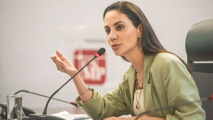 Inspirada por mulheres, promotora de justiça atua no comabate a violência doméstica em SC