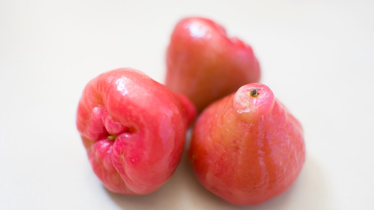 Jambo é uma fruta tropical que tem ganhado atenção por suas propriedades benéficas à saúde do coração