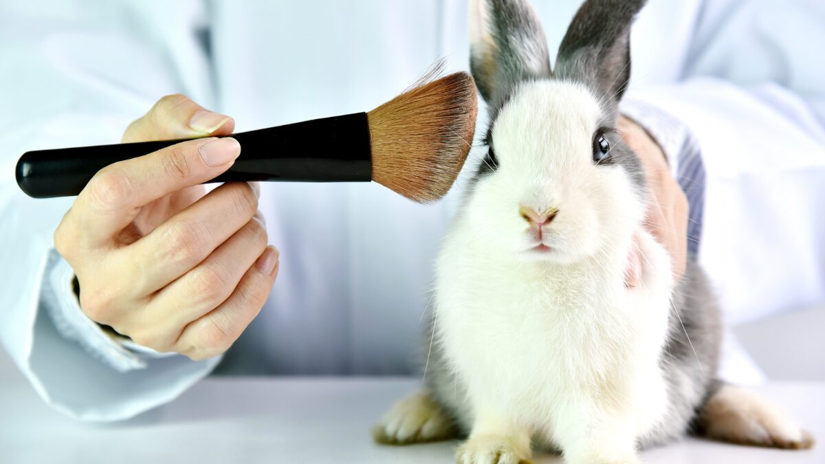 Lula sanciona lei que proíbe uso de animais em testes cosméticos no Brasil