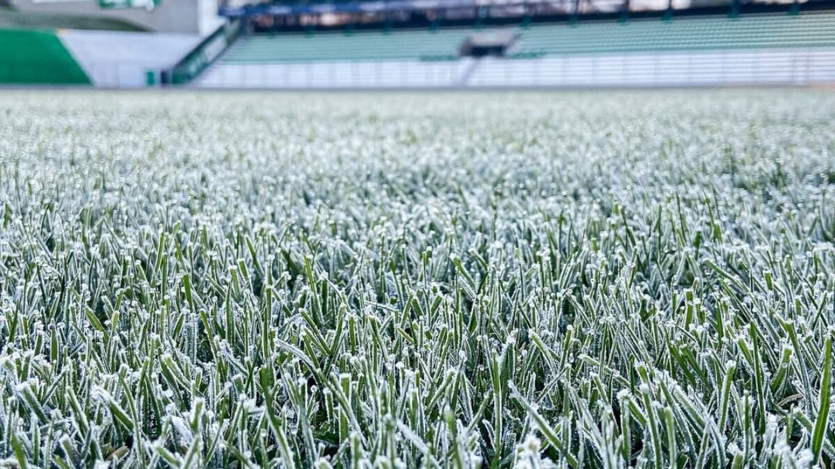 Alfredo Jaconi, em Caxias do Sul (Foto: Redes Sociais, Esporte Clube Juventude)
