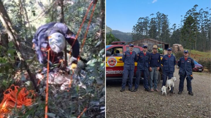 Cão resgatado em encosta no Sul de SC