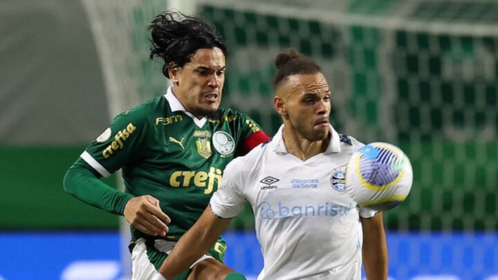 Palmeiras recebe o Grêmio neste sábado (Foto: Cesar Greco, Palmeiras)