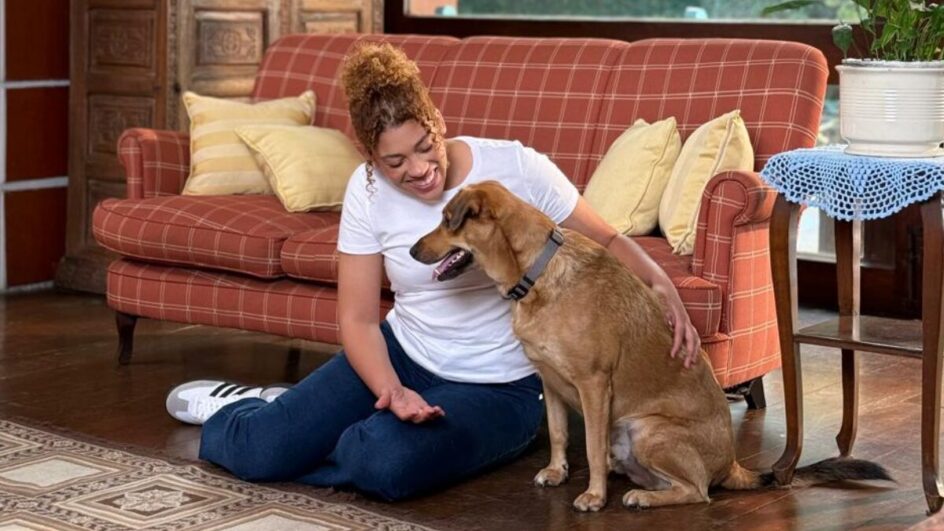 Patinhas do Destino Primeira novela de pets do Brasil é produzida por agência catarinense