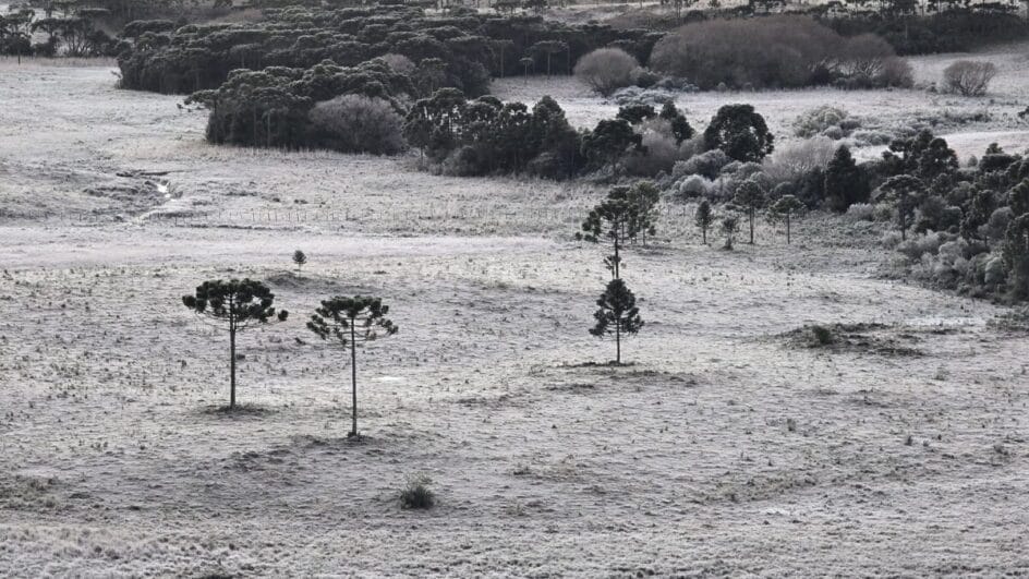 SC enfrenta mais um dia de onda de frio com geada e termômetros em -8°C