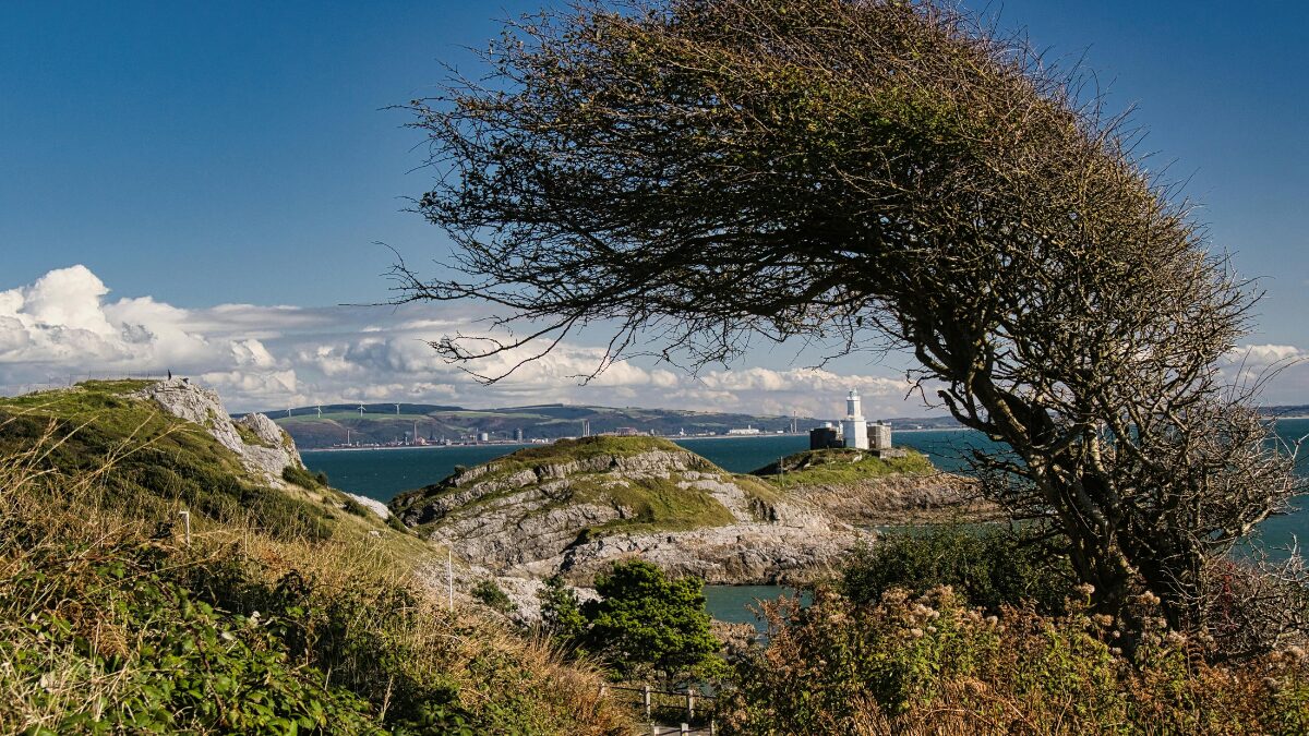 Swansea - Casa que o dinheiro não compra