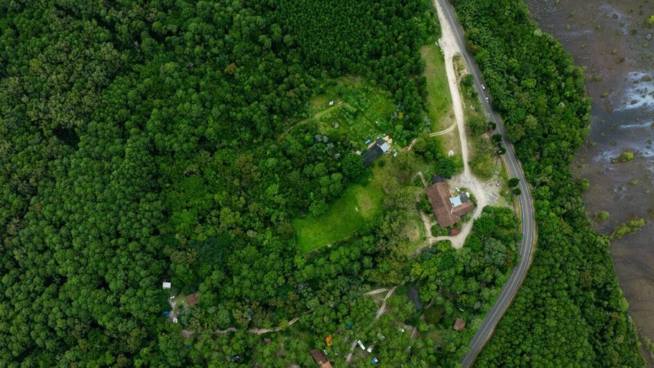 Trilha “escondida” de Florianópolis abriga santuário ecológico com animais exóticos