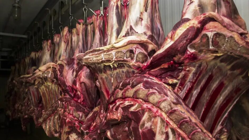 carne