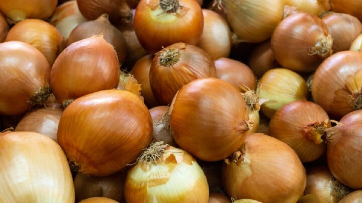 Aprenda o método ideal de armazenamento que garante cebolas frescas e saborosas por até meio ano. (Foto: Freepik)