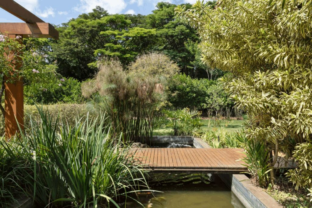 Jardim com lago e esteira de madeira com diversas plantas e arbustos ao redor