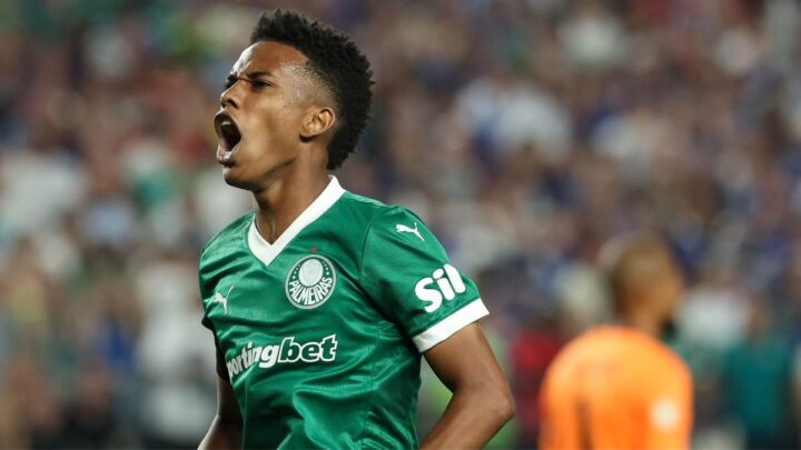 Estêvão marcou na despedida do Palmeiras (Foto: Cesar Greco, Palmeiras)