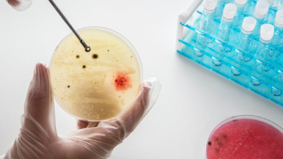 Cientistas estão recriando o início da vida em laboratório (Foto: Banco de Imagens)