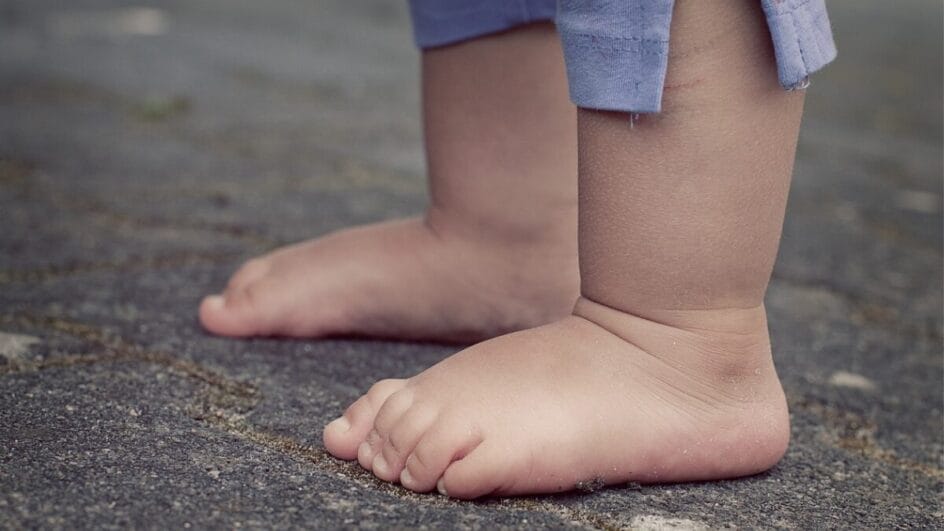 professor florianópolis