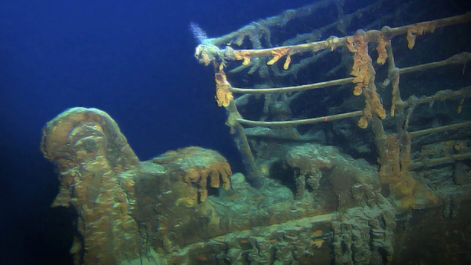Peça rara pode ter pertencido a passageiro ou ser fóssil de tubarão pré-histórico. Foto: Reprodução/Flickr