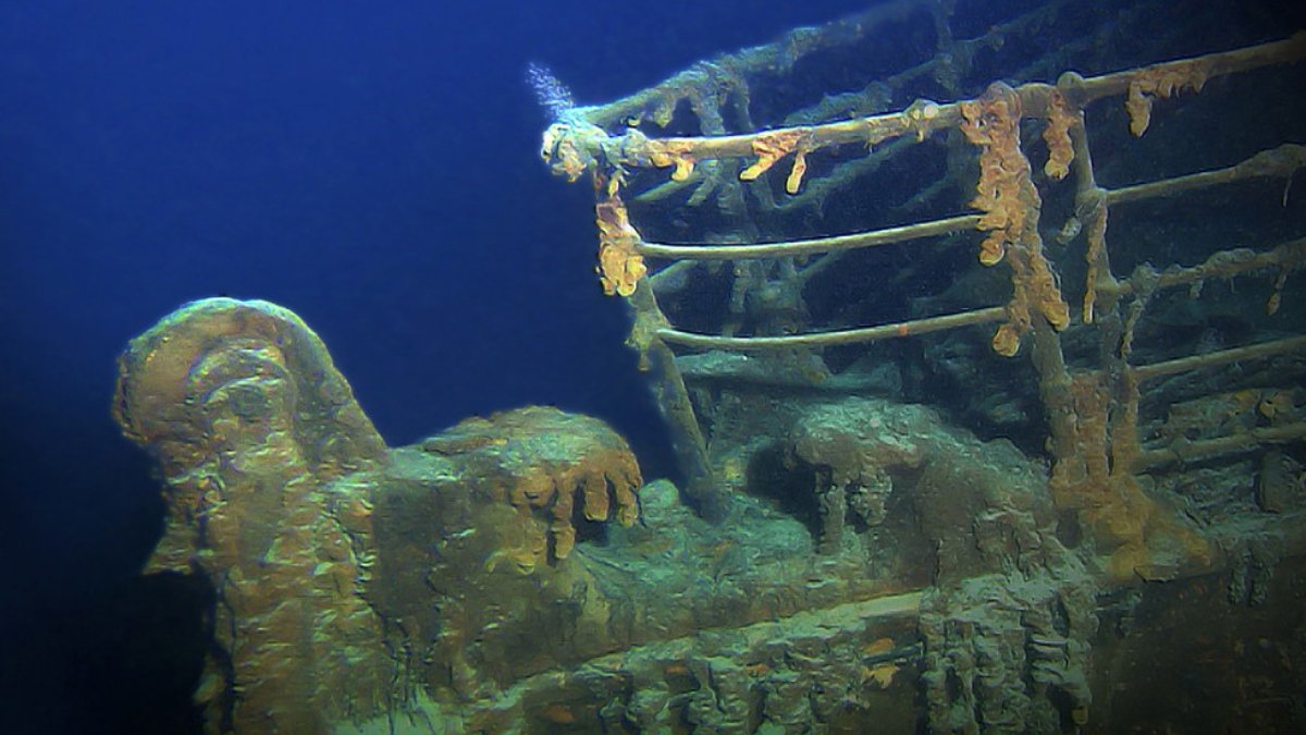 Peça rara pode ter pertencido a passageiro ou ser fóssil de tubarão pré-histórico. Foto: Reprodução/Flickr