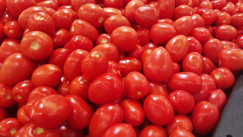 Tomate foi "vilão" da inflação em SC nos últimos 12 meses (Foto: Banco de Imagem)