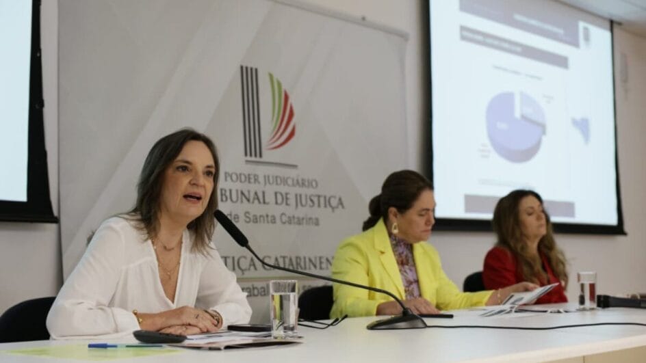 A cada 15 minutos, uma medida protetiva é concedida para vítimas de violência doméstica em SC