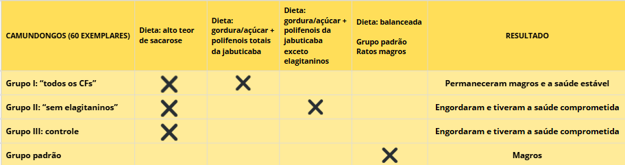 Resultado da pesquisa em laboratório. (Foto: arquivo pessoal)