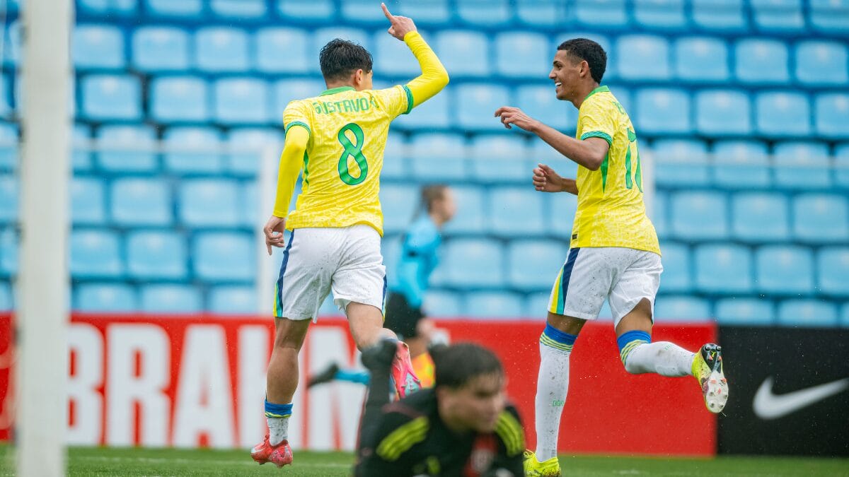 Comemoração do Brasil (Foto: Leo Piva, CBF)