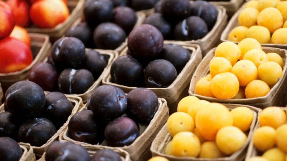 Conheça os benefícios da ameixa seca para a saúde.