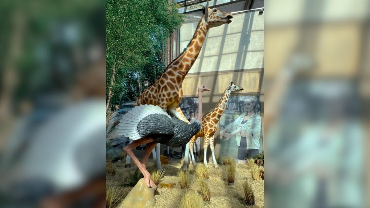 Réplicas gigantes de animais selvagens invadem o Porto Belo Outlet Premium em exposição gratuita