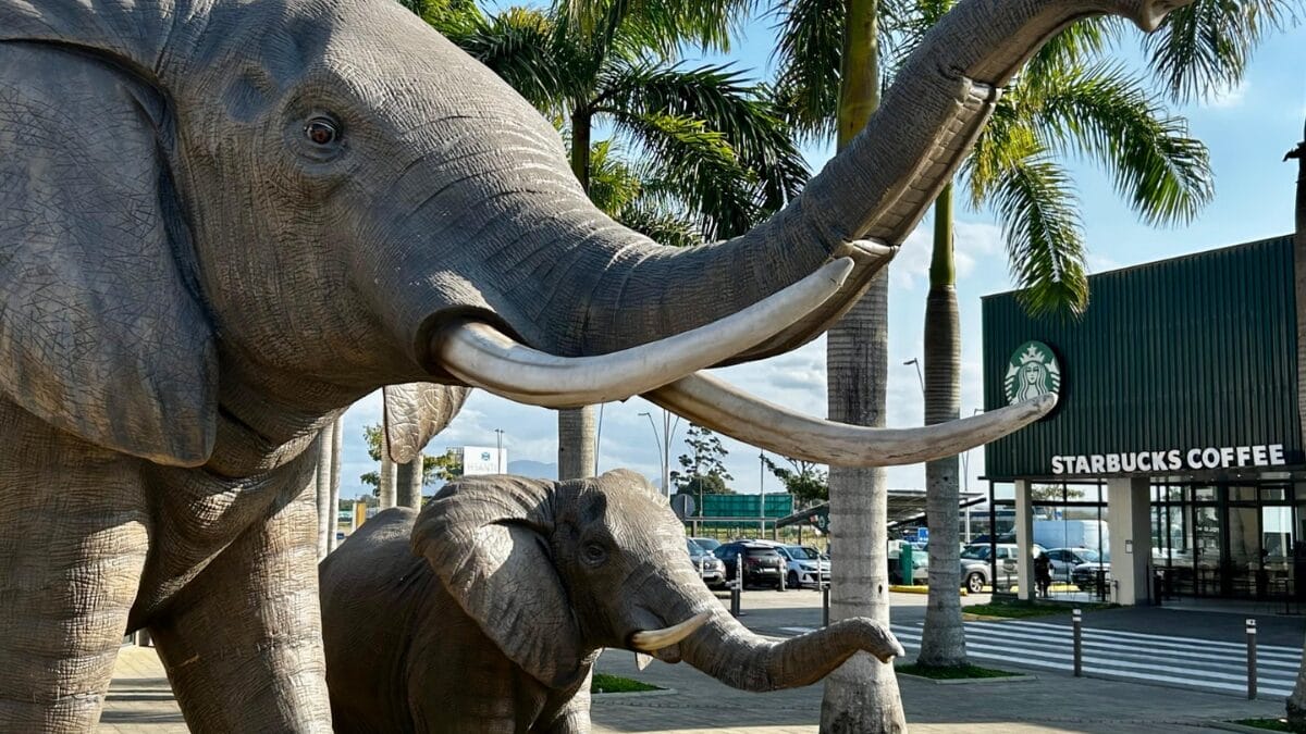 Réplicas gigantes de animais selvagens invadem o Porto Belo Outlet Premium em exposição gratuita