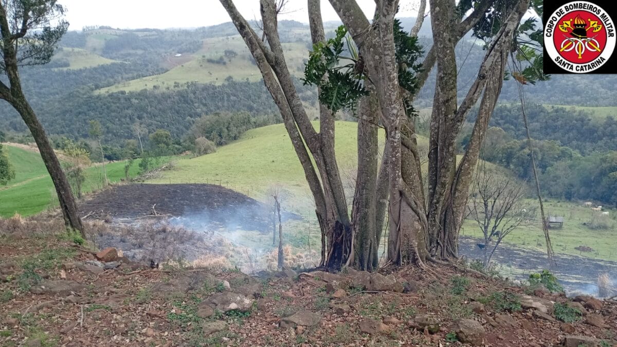Incêndio iniciado em vegetação destrói galpão com maquinários no Oeste de SC