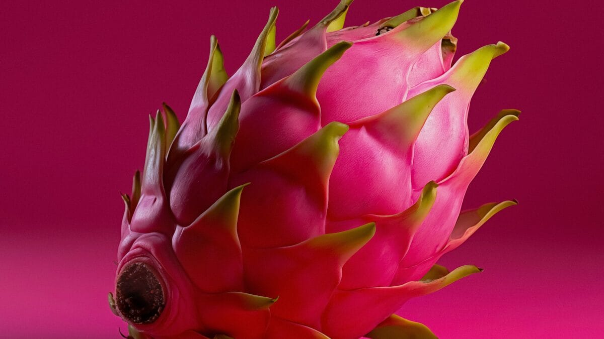 O 'superpoder' secreto da pitaya