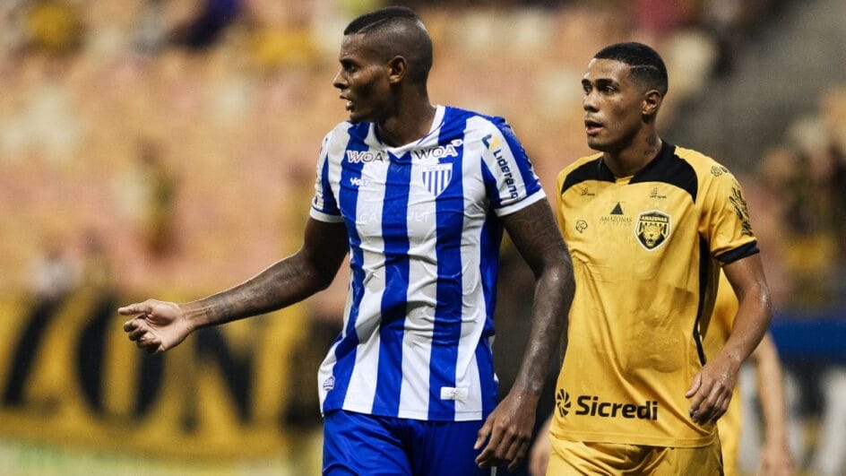 Avaí é o mandante da partida (Foto: Guilherme Griebeler, Avaí)