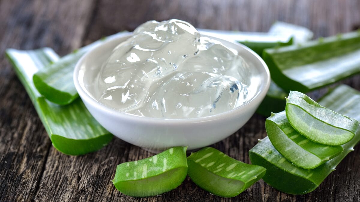 Pare de comprar pronto: a receita de 5 passos para ter seu gel de babosa 100% puro e natural
