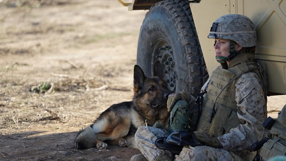 Megan Leavey - Foto: Divulgação