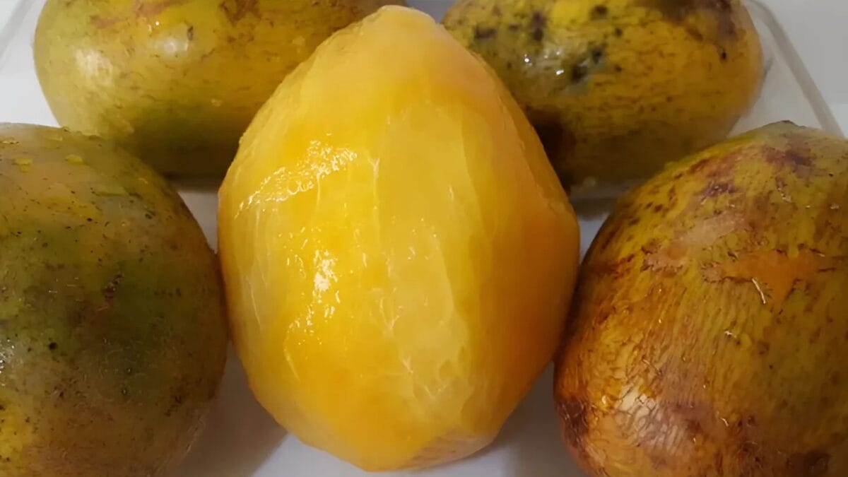 a fruta cajá-manga que combate inflamações