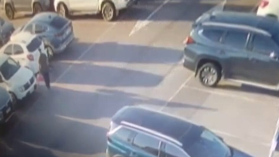 Cachorrinho foi encontrada em uma caixa de transporte no estacionamento (Foto: Reprodução)