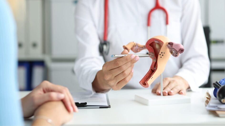 menopausa; útero; saúde mulher