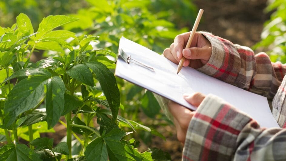 A agropecuária e a indústria extrativa impulsionaram comércio exterior