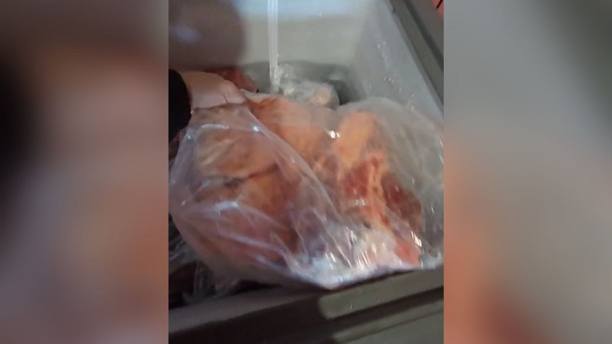 Frigorífico clandestino em Itaiópolis (SC)