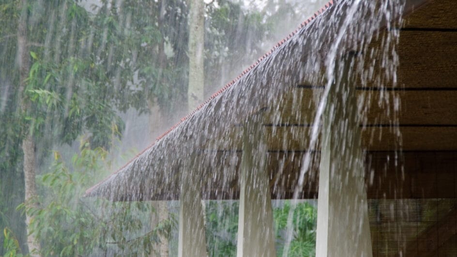 foto para ilustrar noticia