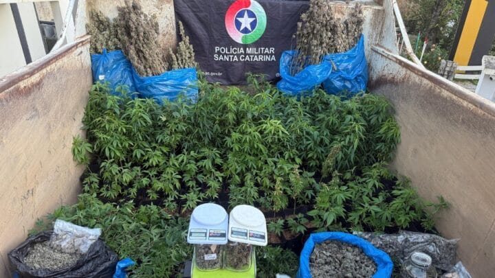 foto para ilustrar a notícia