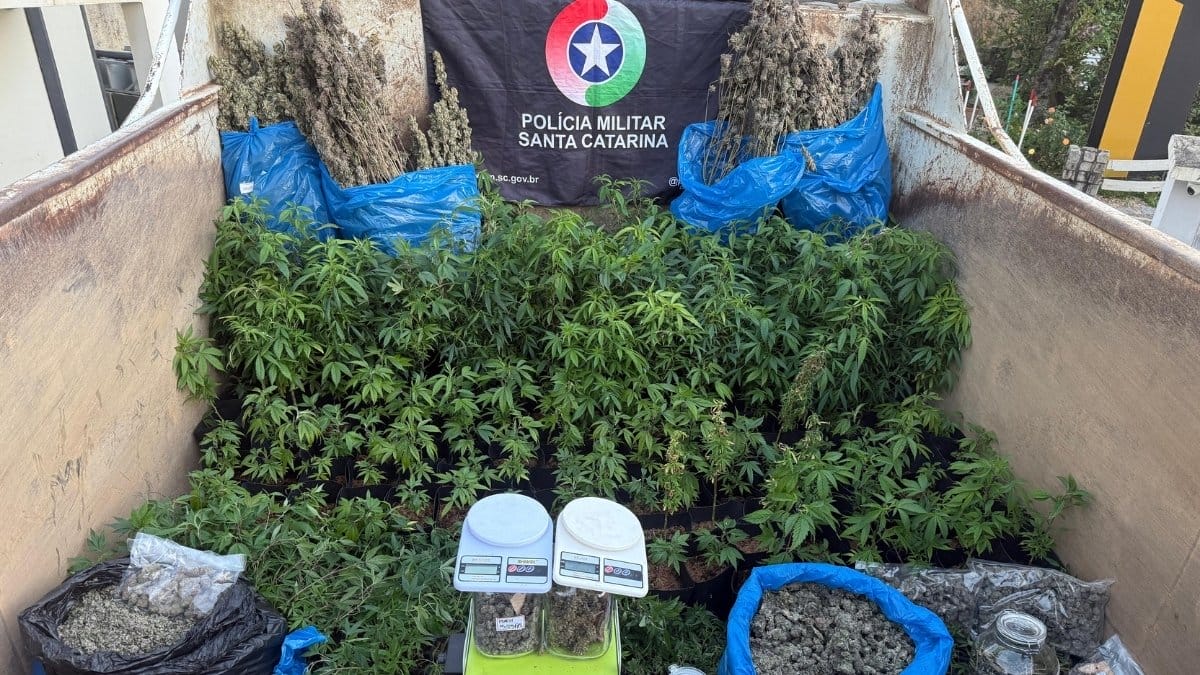 foto para ilustrar a notícia