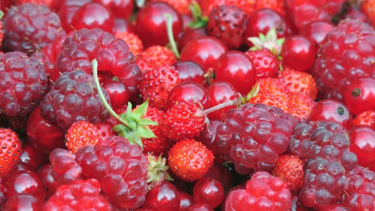 Conheça Cinco Grupos de Alimentos que Ajudam a Reduzir a Pressão Arterial