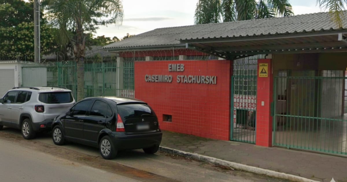 Problema de cães de rua em bairro de Criciúma vem à tona após ataque em escola