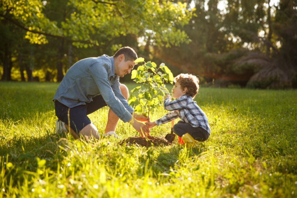 Pai vestindo camisa cinza e shorts com  filho de camisa xadrez, os dois estÃ£o plantando Ã¡rvore sob o sol.