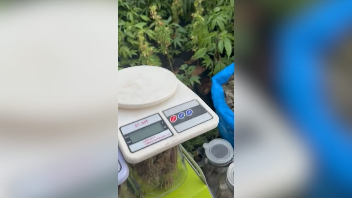 foto para ilustrar a notícia