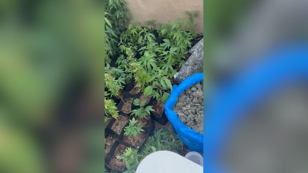 foto para ilustrar a notícia