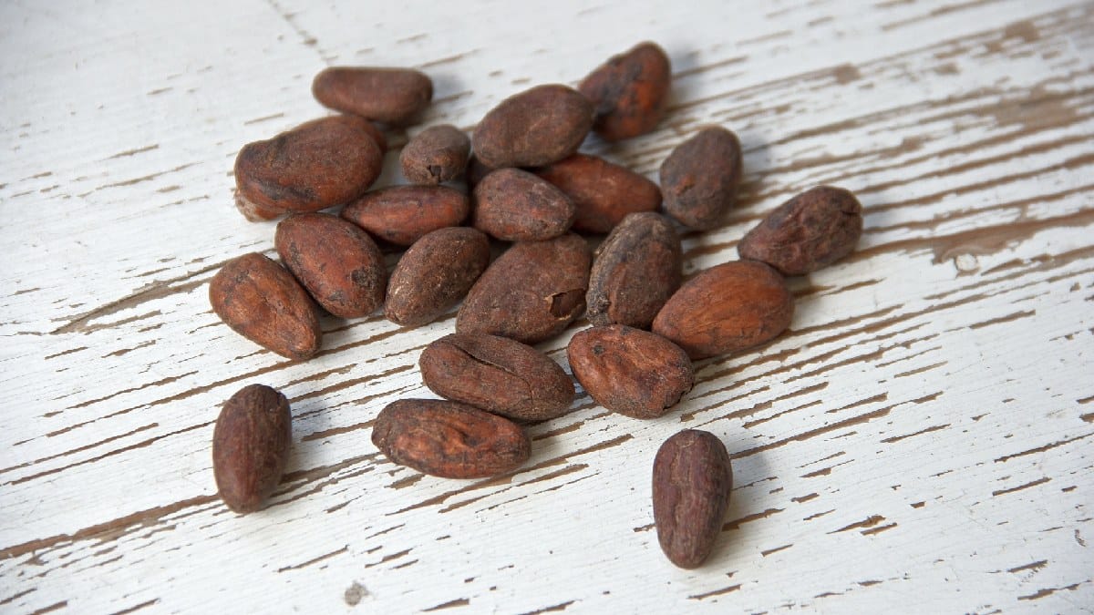 Cacau é rico em flavonóides. (Foto: banco de imagens)