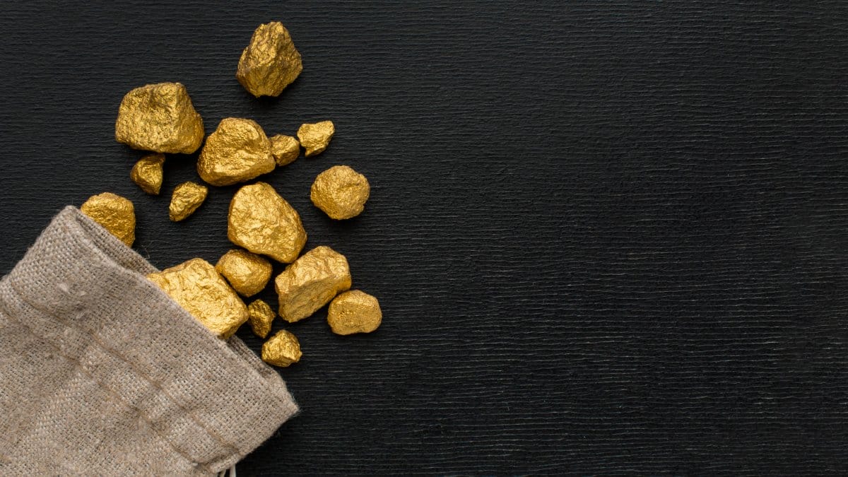 Pesquisadores revelam como fungos conseguem formar partículas de ouro (Foto: Banco de imagens)
